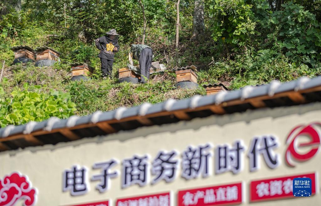 捕鱼游戏赚钱版下载